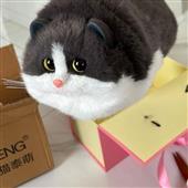 Kèo