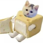 Med