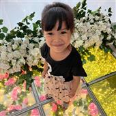 Mắt