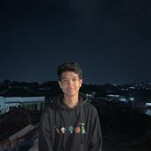 1 t