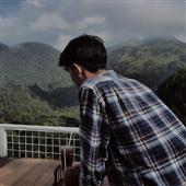 giả