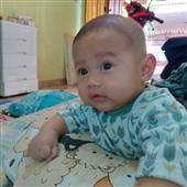 Vợt