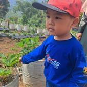 Vị 