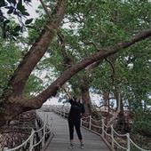 Chợ