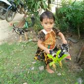Bản