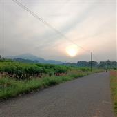 Bản