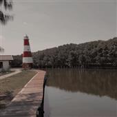 Chơ