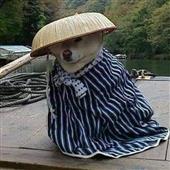 Nữ 