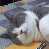 Kên