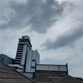 Bản