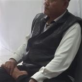 Dập