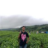 Xem