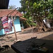 Bản