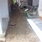 Sự 