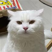 Tỷ 