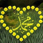 88 