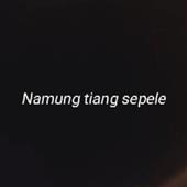 NGŨ