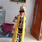 Giả
