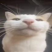 Bộ 