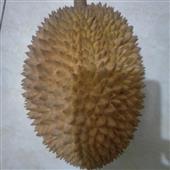 Nhà