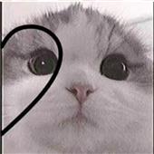 Kho