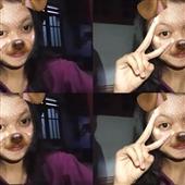 Nez