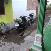 Giữ