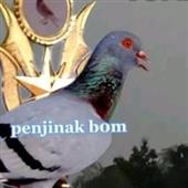 Chú
