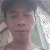 Giả
