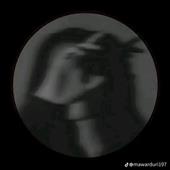 Fli