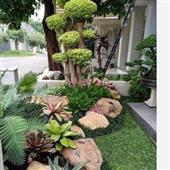 Tự 
