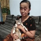 Sức