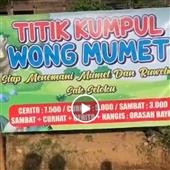Dập