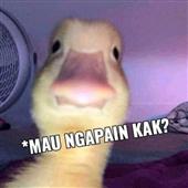 Diê