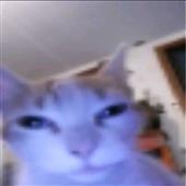 Đầu