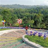 Chỉ