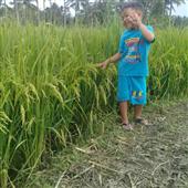 Kho