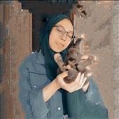 Gấu