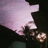 Trá