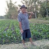 Luậ
