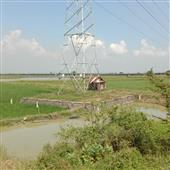 Soi