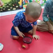 Tạp