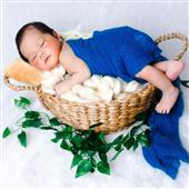 Trự