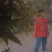 Trự
