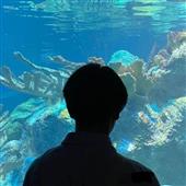 Cầu