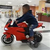 GẤU