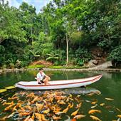 Bản