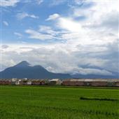 Chế