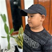 Giả