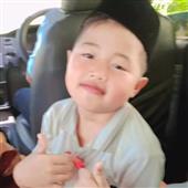 Giả